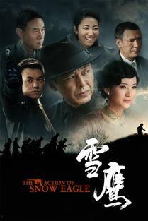 雪鹰在线观看,在线观看，探寻冬日雪域的神秘之旅  第1张